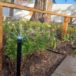 Proyectos aspersor riego cama plantas 04