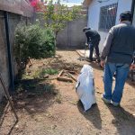 Proyectos equipo paisajismo preparando jardin 12