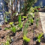 Proyectos jardinera arbol y gravilla decorativa 19