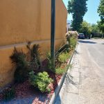 Proyectos jardinera calle plantas ornamentales 16