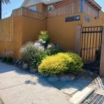 Proyectos jardinera frontal casa plantas 12