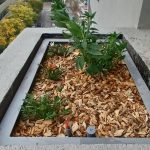 Proyectos jardinera muro blanco plantas 08
