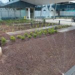 Proyectos jardineras exteriores gravilla y plantas 01