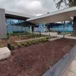 Proyectos jardineras lineales en vereda 13