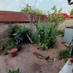 Proyectos limpieza terreno jardin antes 05