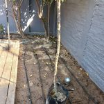 Proyectos preparacion cama plantas jardin 02