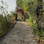 Proyectos sendero piedra jardin vegetacion 04