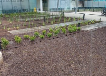 Inicio Jardineras exteriores gravilla y plantas