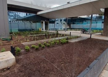 Inicio Jardineras lineales en vereda